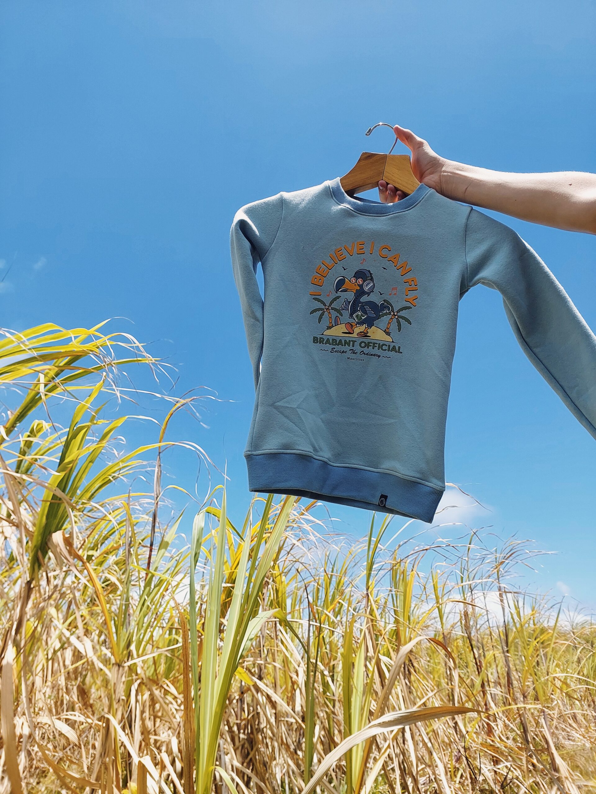 Kids Flying Dodo Sweater