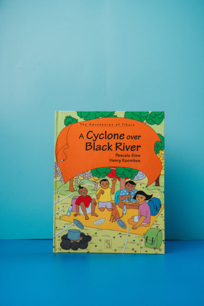 Cyclone sur Rivière Noire