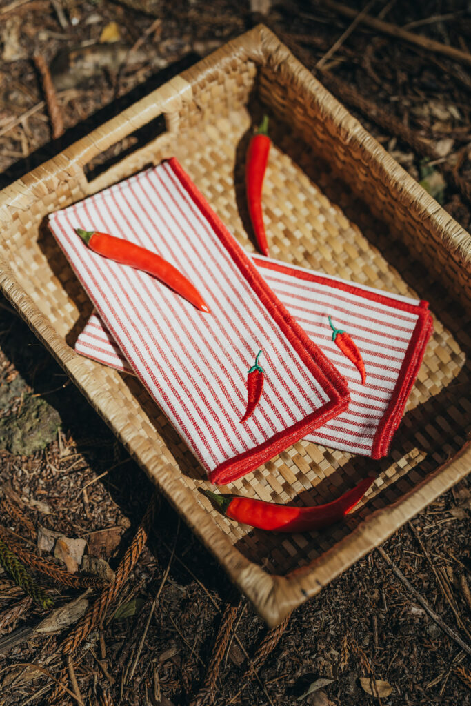 PIKNIK - set de 4 serviettes de table rouges