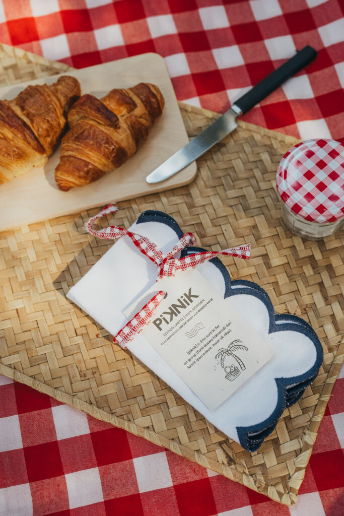 PIKNIK - set de 4 serviettes de table bleues