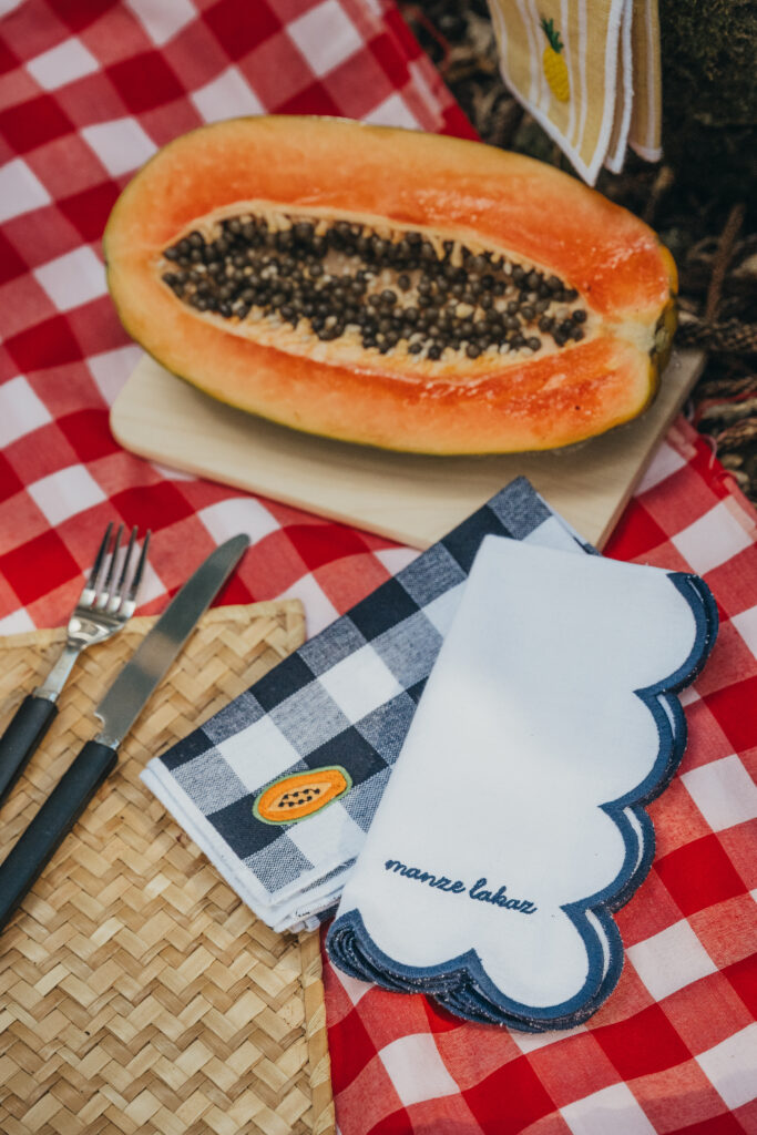 PIKNIK - set de 4 serviettes de table bleues